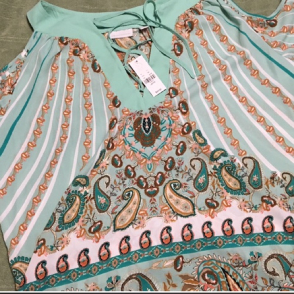 Cold should NY&CO top